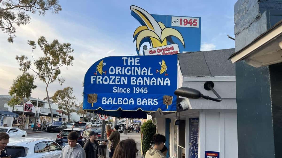 SUGAR ´N SPICE, EL REY DE LAS BANANAS CONGELADAS
