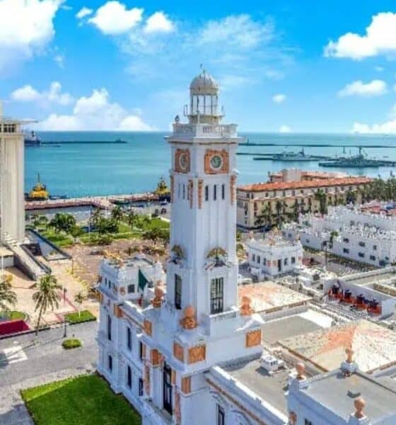 Puerto de Veracruz. Foto: Leolitycs