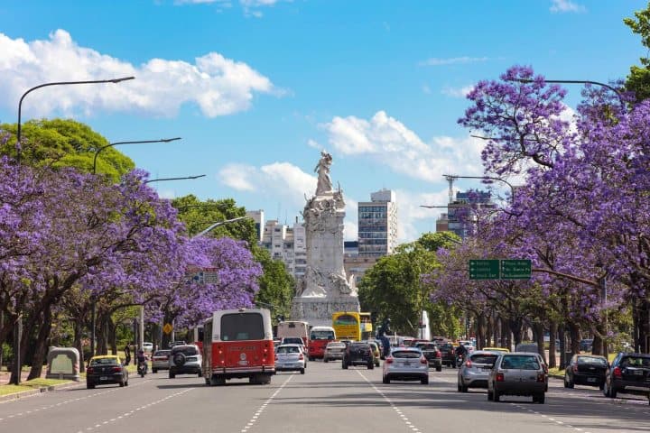 1. Jacarandas en Buenos Aires. Foto - Alamy
