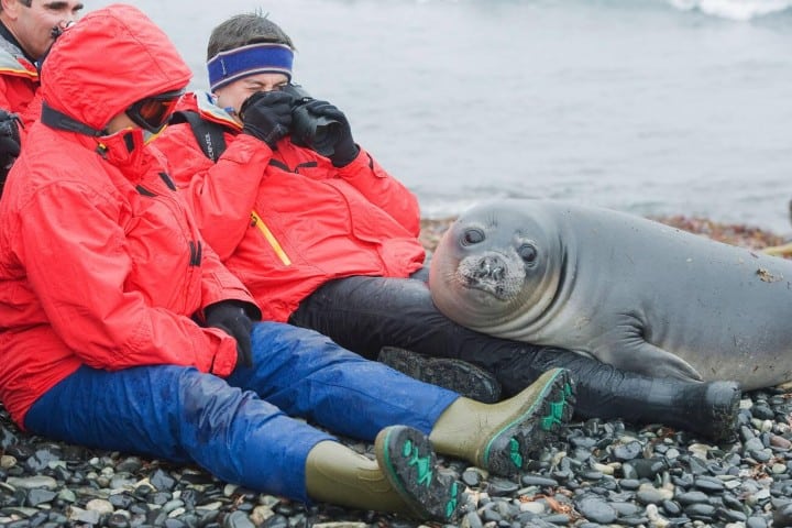 10. Viajeros con un elefante marino en la Antártida. Foto - Alamy