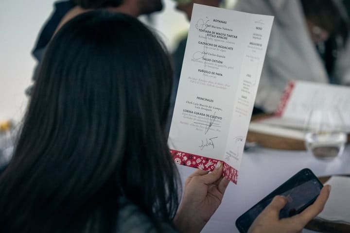 10. Presentación de Apapaxoa 2025. Foto - @apapaxoafestival (Instagram)