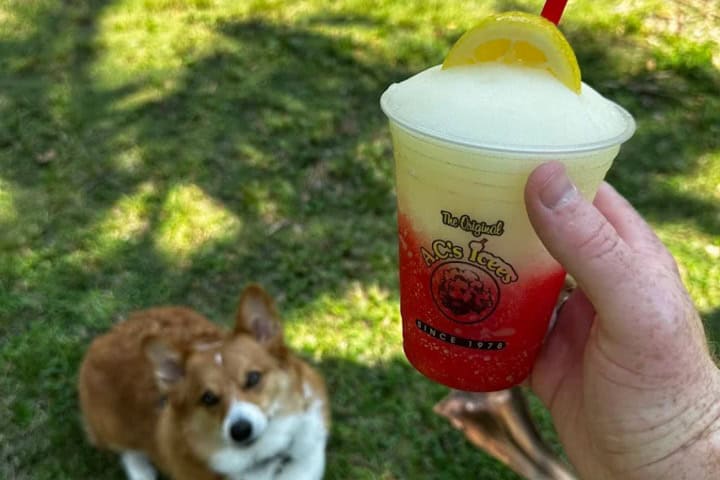 11. Limonada en David Kennedy Park. Foto - Jordan Ryan (Google)