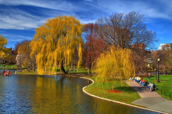 12. Boston Common. Foto - Boston Waterboat Marina