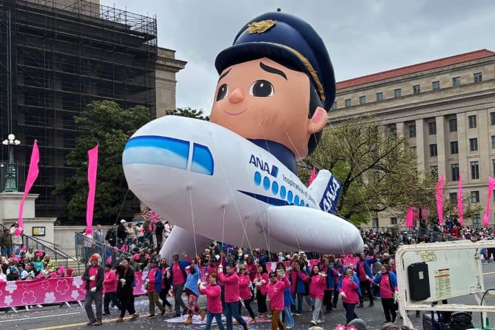 12. Globo de ANA en el Festival Nacional de los Cerezos. Foto - All Nippon Airways (Facebook)