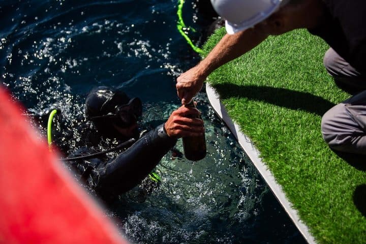 13. Experiencia vicícola con Bodegas Undersea. Foto - Bodegas Undersea (Facebook)
