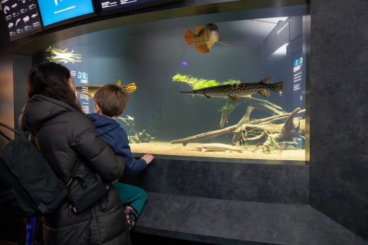 2. Madre con su hijo en el Acuario de Nueva Inglaterra. Foto - New England Aquarium (Facebook)