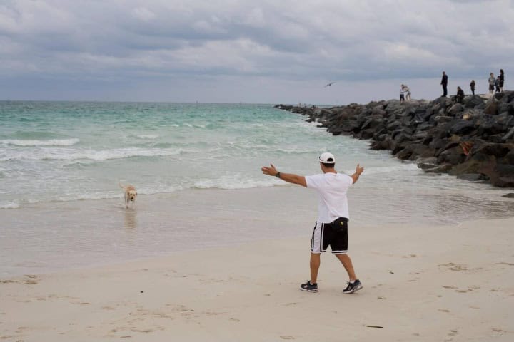 2. Persona con su perro en las playas de Miami. Foto - Alamy