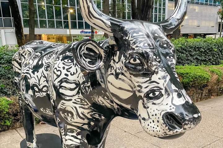 3. Vaca de Cara de Taza. Foto - @angietavera03 (Instagram)