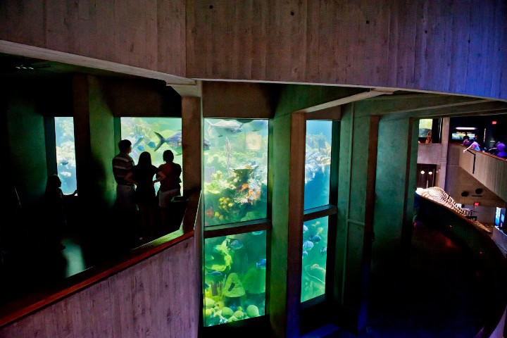 3. Cilindro en el Acuario de Nueva Inglaterra. Foto - U.S. News Travel