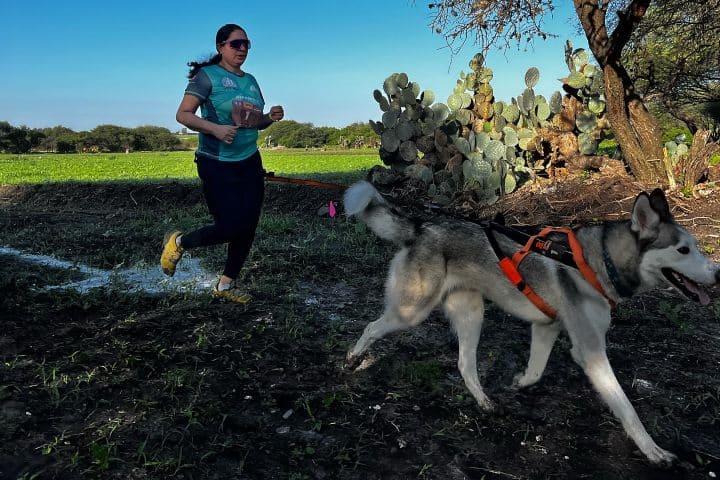 4. Corredora con perrito en Preserve Marqués, Querétaro. Foto - @xtraildog (Instagram)