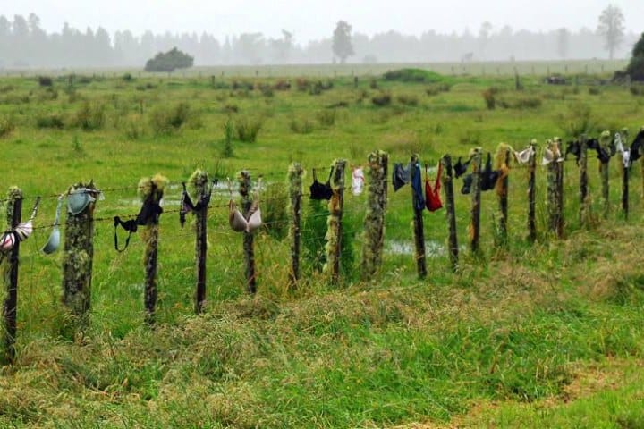 5. Cadena de sostenes. Foto - Alamy