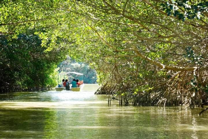 7. Paseo en manglares por Celestún. Foto - Alamy