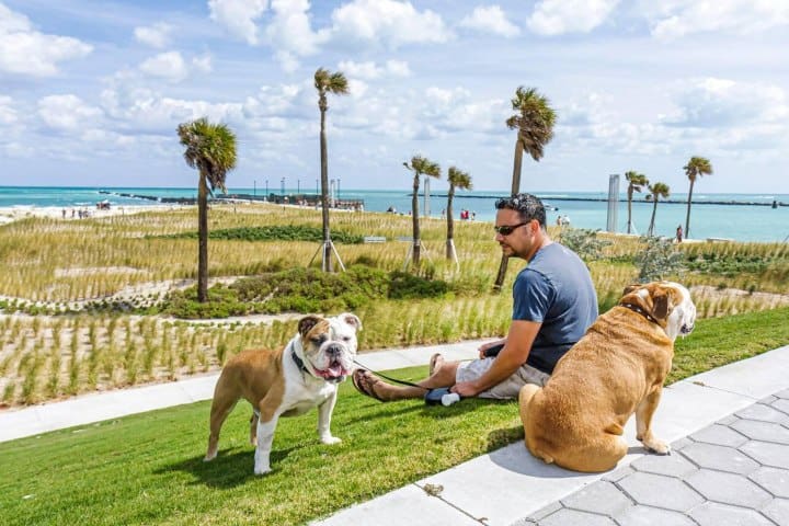 7. Perros en South Pointe Park. Foto - Alamy
