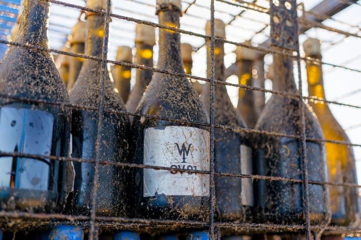 7. Extracción de vinos submarinos. Foto - Alcornoque MX