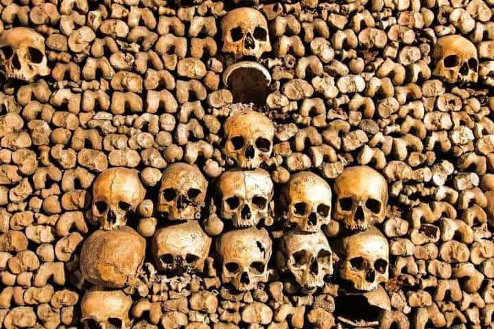8. Muro de cráneos apilados en las Catacumbas de París. Foto - París, Tickets Tours