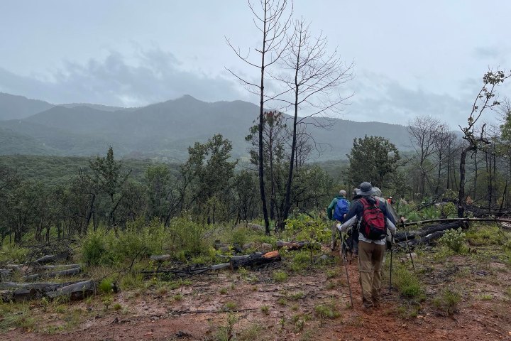 7. Ruta de senderismo de Chiquilistlán a Atemajac de Brizuela. Foto - 44senderos (Wikiloc - Trails of the World)