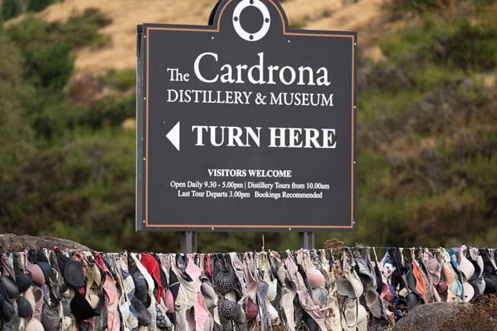 8. Anuncio de la destilería Cardrona sobre la valla de sostenes. Foto - Manorama Online