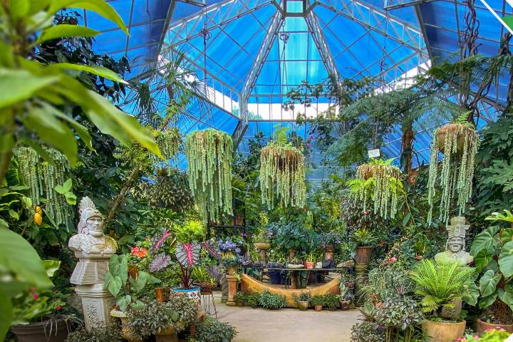 9. Jardín Botánico de Vallarta. Foto - Jardín Botánico de Vallarta (Facebook)