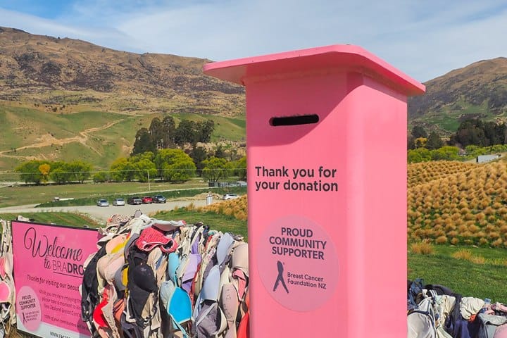 9. Alcancia de donaciones en Bradrona. Foto - Yuki's Lazy Channel