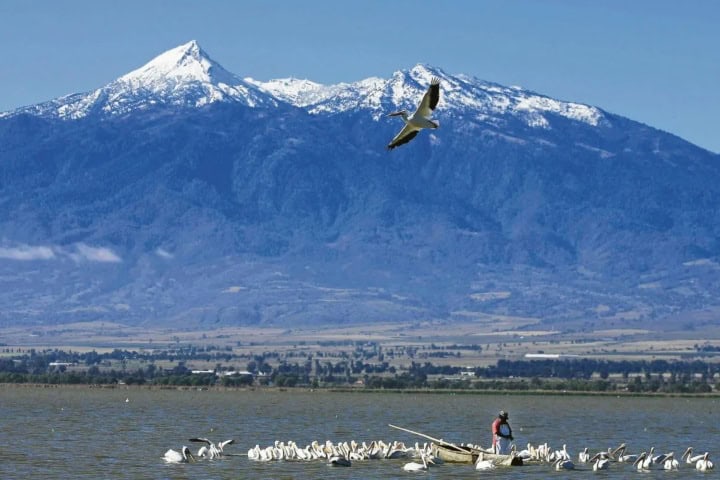 9. El Lago de Zapotlán. Foto - JaliscienseMx - Jalisco México (Facebook)