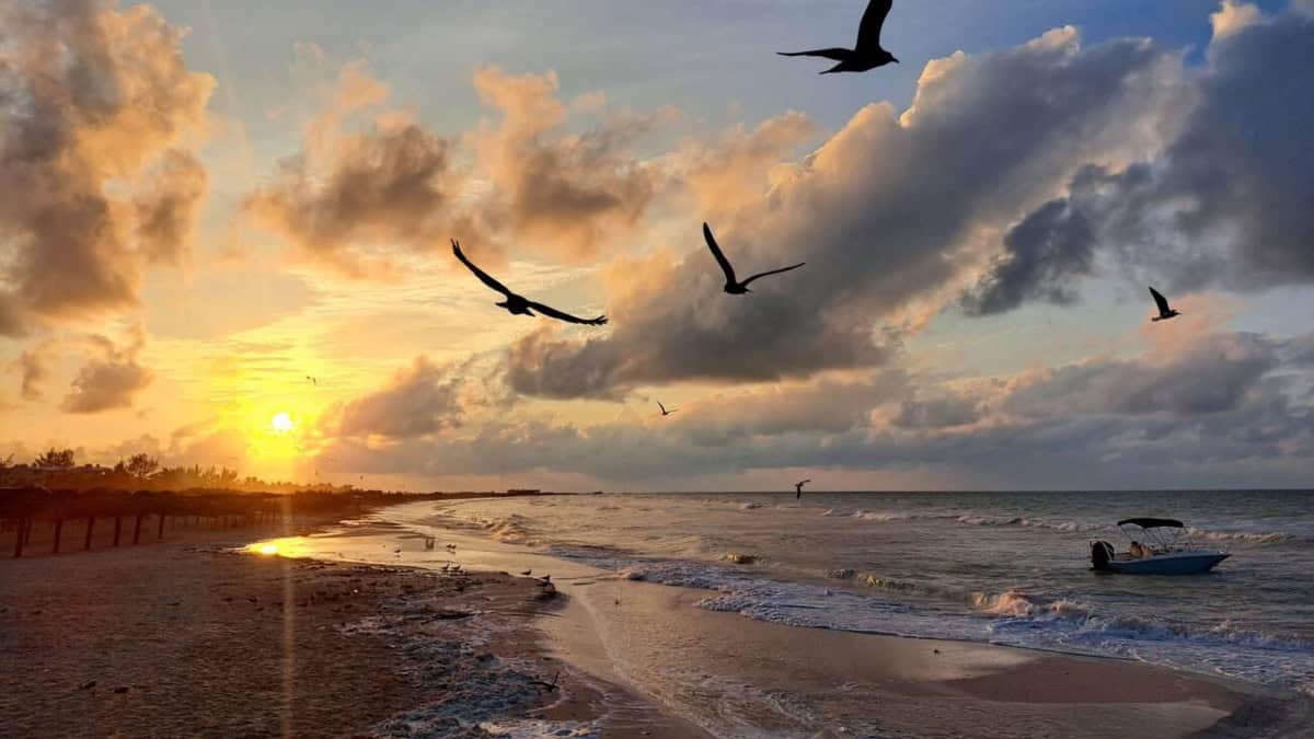 DESCUBRE LAS MEJORES PLAYAS EN YUCATÁN PARA DISFRUTAR DEL VERANO