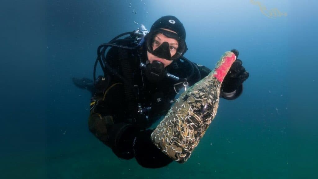 DESCUBRIENDO LOS VINOS SUBMARINOS