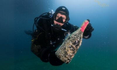 DESCUBRIENDO LOS VINOS SUBMARINOS