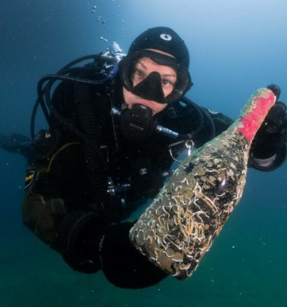DESCUBRIENDO LOS VINOS SUBMARINOS