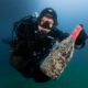DESCUBRIENDO LOS VINOS SUBMARINOS
