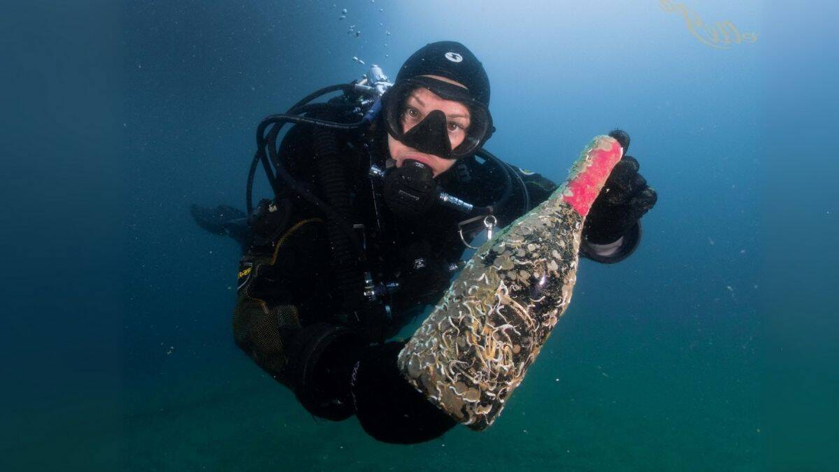 DESCUBRIENDO LOS VINOS SUBMARINOS
