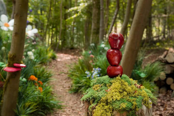 EXTRA. Paseo por lo bosques de Bélgica (las tres manzanas miden la estatura de un Pitufo). Foto - Archivo Airbnb