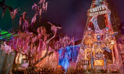 HALLOWEEN EN BUENA PARK