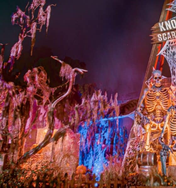 HALLOWEEN EN BUENA PARK