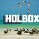 QUE HACER EN HOLBOX