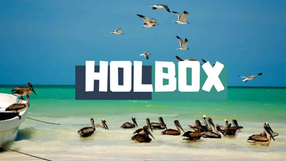 QUE HACER EN HOLBOX