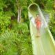 JUNGALA AQUA EXPERIENCE INAUGURA 2 NUEVAS ATRACCIONES