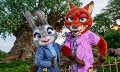 NUEVAS ATRACCIONES LLEGAN A WALT DISNEY WORDL DURANYTE EL 2025 Y 2026