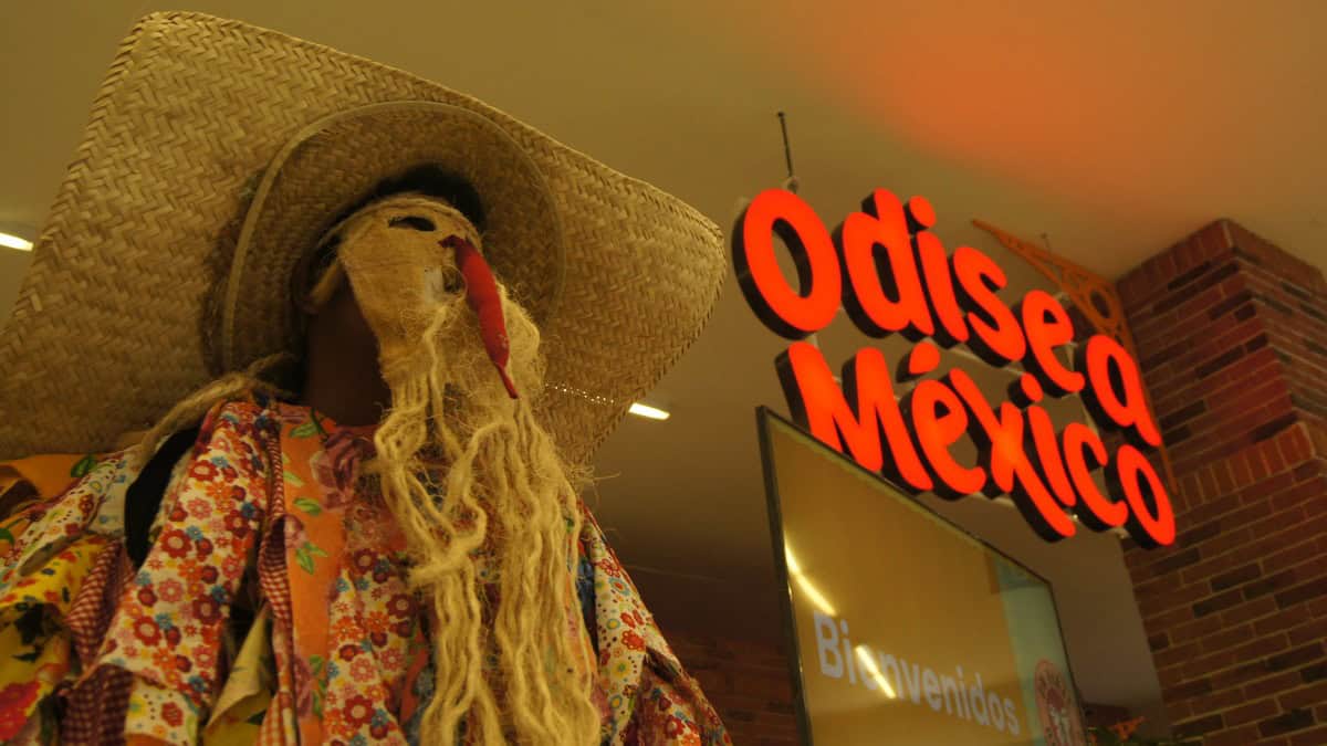 ODISEA MÉXICO ABRE SUS PUERTAS ESTE 2025
