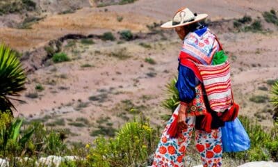 RUTA WIXÁRIKA OBTIENE CERTIFICADO DE PATRIMONIO MUNDIAL POR LA UNESCO
