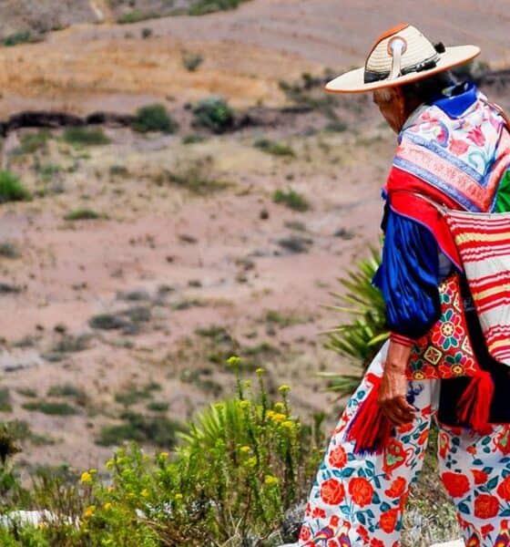 RUTA WIXÁRIKA OBTIENE CERTIFICADO DE PATRIMONIO MUNDIAL POR LA UNESCO