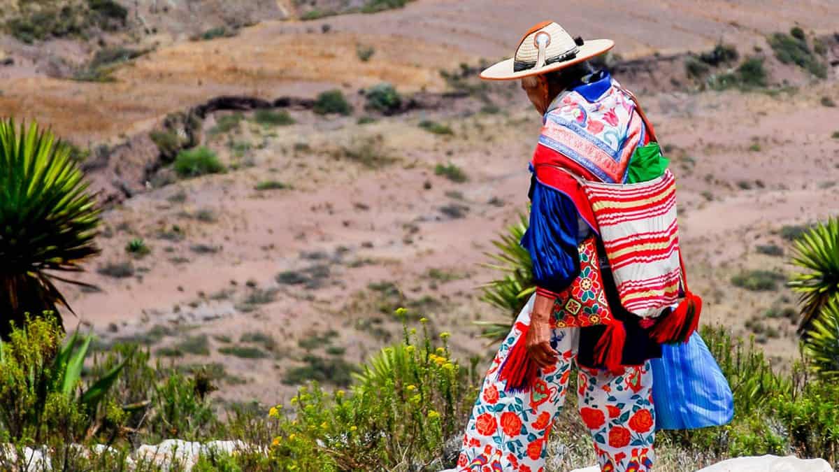 RUTA WIXÁRIKA OBTIENE CERTIFICADO DE PATRIMONIO MUNDIAL POR LA UNESCO