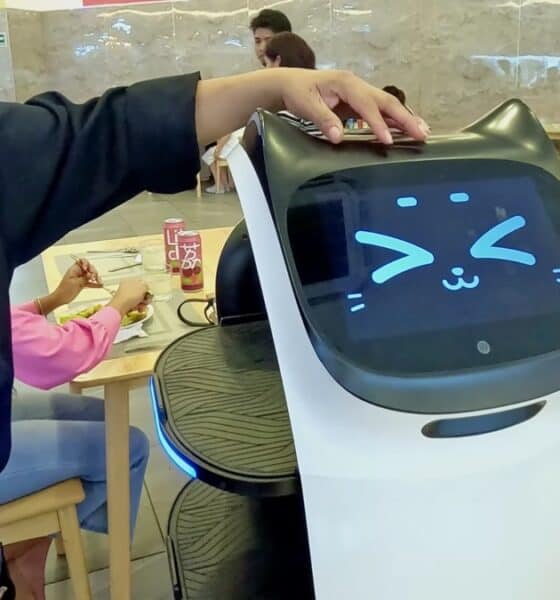 TEMPLE WOK, UN RESTAURANTE CON UNA ROBOT MESERA
