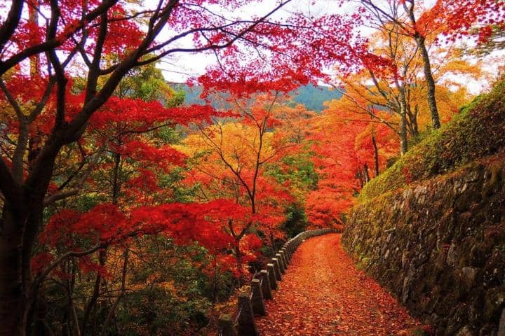1. Monte Yoshino Nara durante el otoño. Foto - Japón Secreto