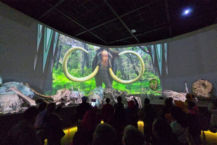 11. Museo del Desierto. Foto - Rehiletes