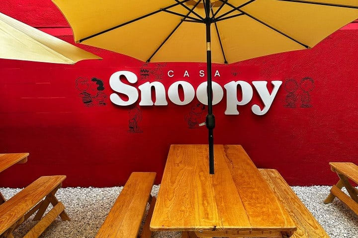 11. Terraza en Casa Snoopy. Foto - @laguiacdmx (Instagram)