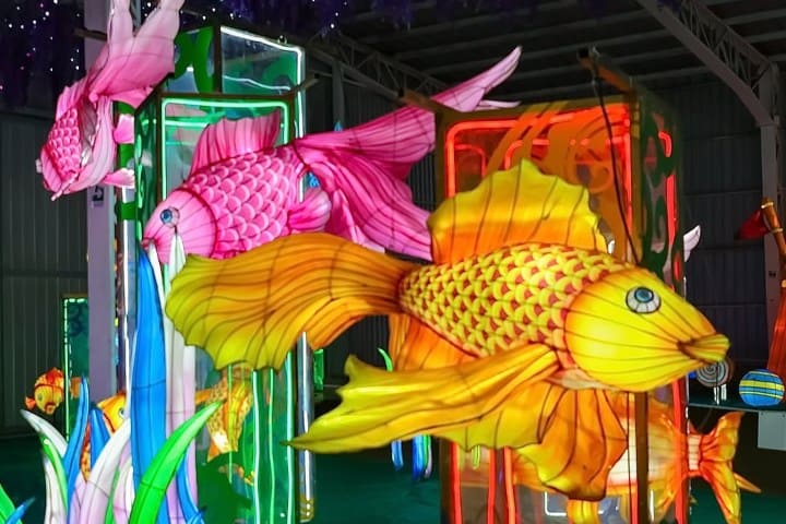 2. Peces de colores. Foto - @tianfufestival (Instagram)