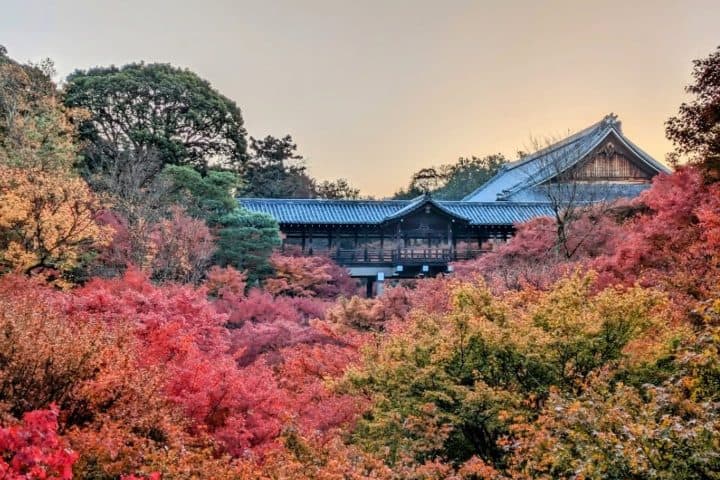 2. Puente Tongtong del templo Tōfuku-ji. Foto - @tofukuji_zen_temple (Instagram)