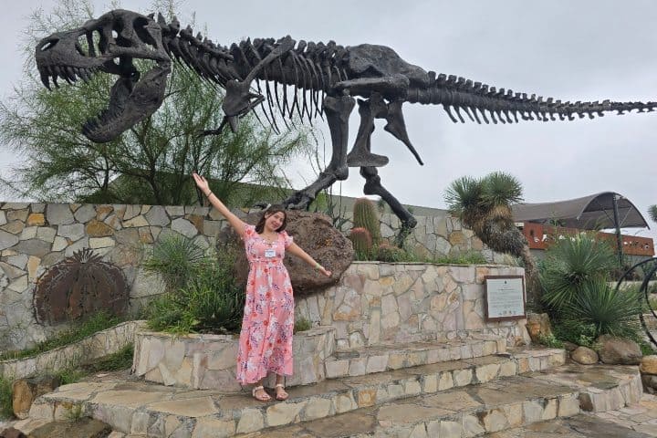2. Viajera de Vinos y Dinos Rehiletes en el Museo del Desierto. Foto - Rehiletes