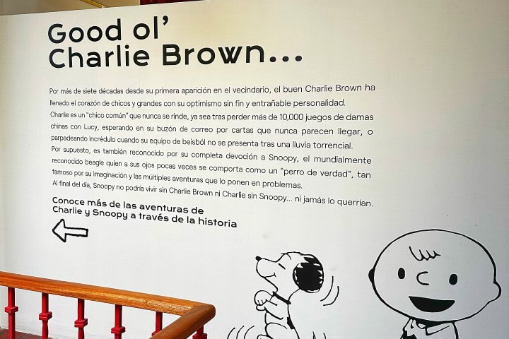 3. Ilustración de Charlie Brown en Casa Snoopy. Foto - @el_mariacaa (Instagram)