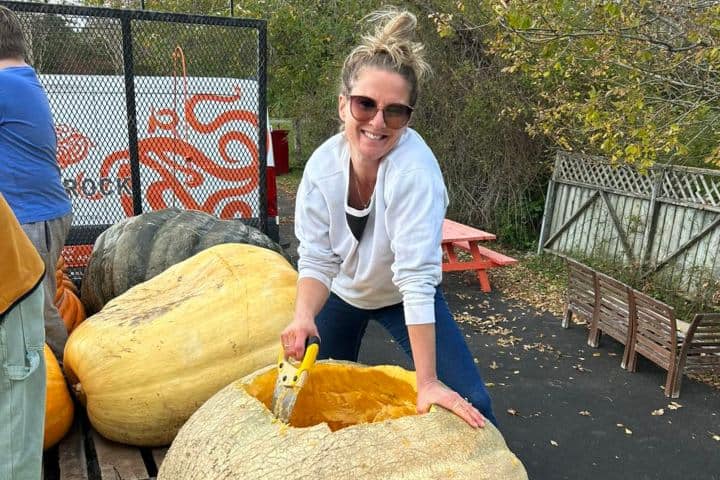 4. Peparación de calabaza gigante. Foto - Nova Scotia Giant Pumpkin Festival & Regatta (Facebook)